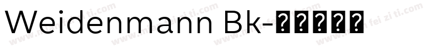 Weidenmann Bk字体转换